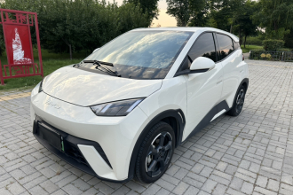比亚迪 海鸥 2023款 自由版