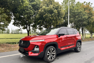 宝骏RS-5 2019款 1.5T CVT智能驾控旗舰版 国VI