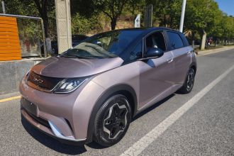 比亚迪 海豚 2021款 405km 自由版
