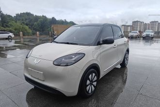 五菱汽车 五菱缤果 2024款 333km 灵犀互联款