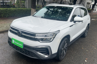 大众 途岳 2023款 300TSI 两驱皎月版