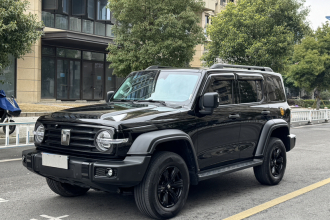 坦克300 2025款 2.4T 柴油版