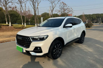 哈弗H6 2023款 国潮版 1.5T 自动都市版