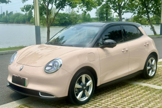 欧拉好猫 2021款 400km标准续航 维纳斯版 磷酸铁锂