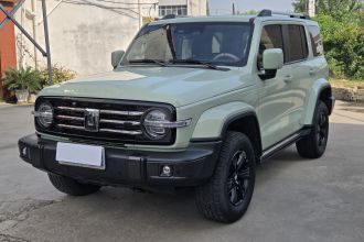 坦克300 2021款 城市版 2.0T 很有型