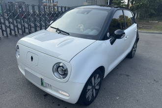 欧拉黑猫 2021款 351km 豪华型