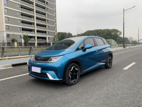 比亚迪 海豚 2021款 405km 时尚版