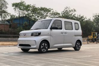 五菱汽车 五菱之光新能源 2025款 305km 进取型