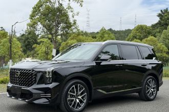 广汽传祺 传祺GS8 2025款 领航系列 2.0TGDI 两驱豪华版 5座