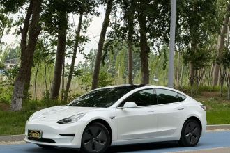 特斯拉 Model 3(进口) 2019款 标准续航后驱升级版(52度)
