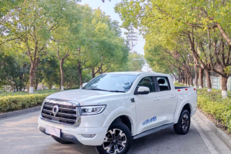 长城 炮 2020款 2.0T自动柴油两驱舒适版GW4D20M