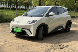 比亚迪 海鸥 2024款 荣耀版 405km 飞翔版