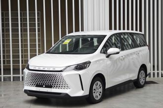 上汽大通MAXUS 大通G50 2024款 1.5T 龙行天下版