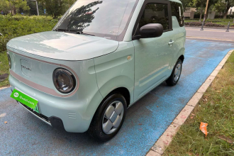 吉利银河 2023款 熊猫mini 200km 耐力熊