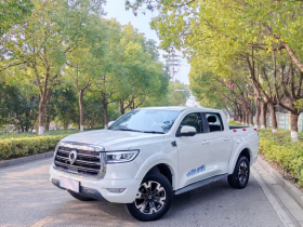 长城 炮 2020款 2.0T自动柴油两驱舒适版GW4D20M