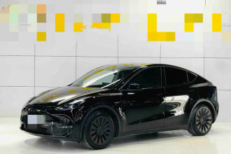 特斯拉 Model Y 2021款 标准续航后驱版