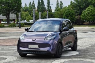 五菱汽车 五菱缤果 2024款 333km 悦享款