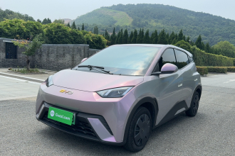 比亚迪 海鸥 2024款 荣耀版 305km 活力版