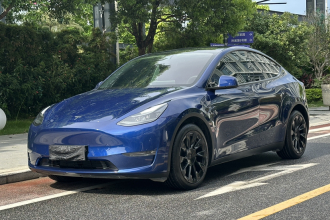 特斯拉 Model Y 2021款 长续航全轮驱动版