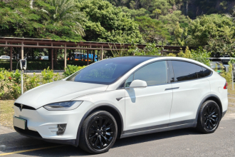特斯拉 Model X 2019款 长续航版