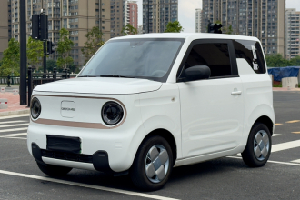 吉利银河 2024款 熊猫mini 200km 耐力熊