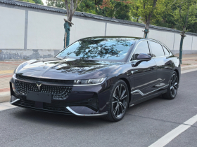 岚图汽车 岚图追光 2024款 PHEV 四驱超长续航旗舰版