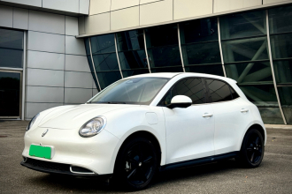 欧拉好猫 2024款 401km 豪华型