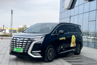 腾势D9 2024款 DM-i 980 四驱尊荣型