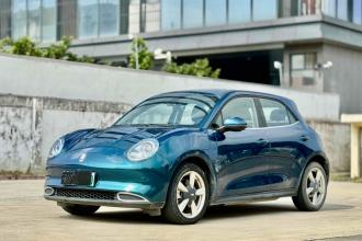 欧拉好猫 2022款 400km标准续航 豪华型 三元锂