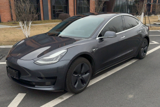特斯拉 Model 3 2019款 标准续航后驱升级版