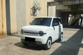 吉利银河 2025款 熊猫mini 210km 元气熊