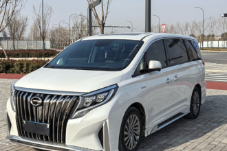 广汽传祺 传祺M8 2021款 大师系列 390T 至尊福祉版