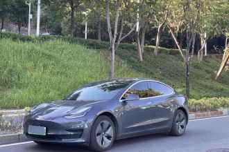 特斯拉 Model 3 2019款 标准续航后驱升级版