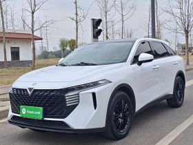 启辰大V 2023款 260T 爱豆版 Pro