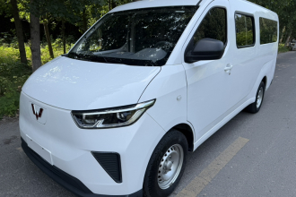 五菱汽车 五菱扬光 2024款 300km 舒适型客车版 60kW