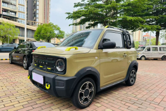 吉利银河 2024款 200km 熊猫骑士