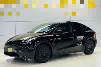 特斯拉 Model Y 2023款 后轮驱动版