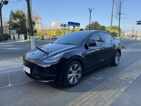 特斯拉 Model Y 2021款 标准续航后驱版