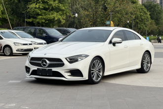 奔驰CLS 2021款 CLS 300 动感型