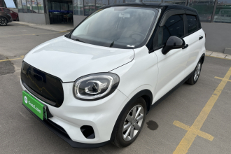 零跑汽车 零跑T03 2022款 皓玉版