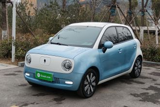 欧拉黑猫 2019款 351km 亲子版