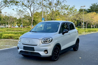 零跑汽车 零跑T03 2023款 310轻享版