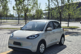 五菱汽车 五菱缤果 2024款 203km 轻享款