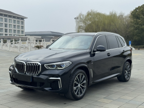 宝马X5 2022款 改款 xDrive 30Li 尊享型M运动套装