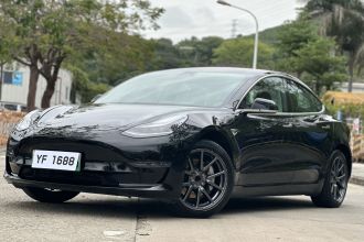 特斯拉 Model 3(进口) 2019款 长续航后驱版