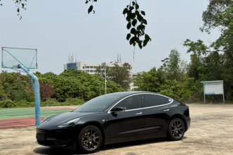 特斯拉 Model 3 2020款 标准续航后驱升级版