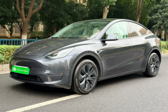 特斯拉 Model Y 2024款 长续航全轮驱动版
