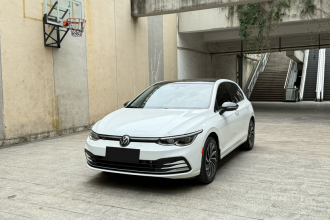 大众 高尔夫 2021款 280TSI DSG Pro