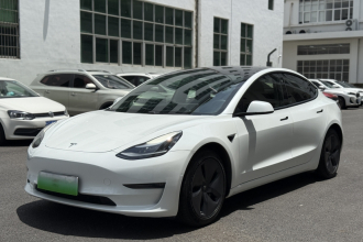 特斯拉 Model 3(进口) 2019款 长续航全轮驱动版