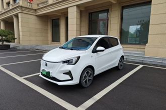 长安 奔奔E-Star 2020款 心动版 磷酸铁锂（31.18kWh）
